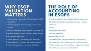 Understanding ESOP Valuation and Accounting What Companies Need to Know