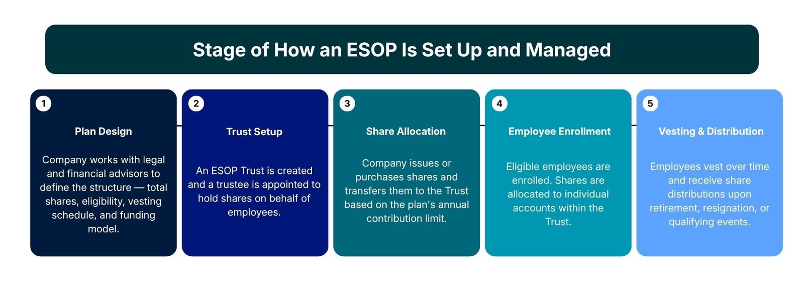 ESOP vs ESOS: Key Differences and Benefits